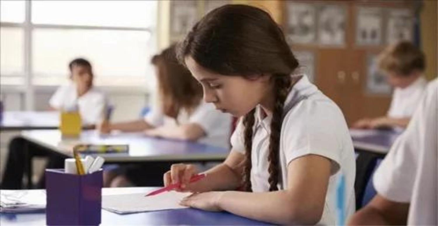 YENİ MÜFREDAT 2024