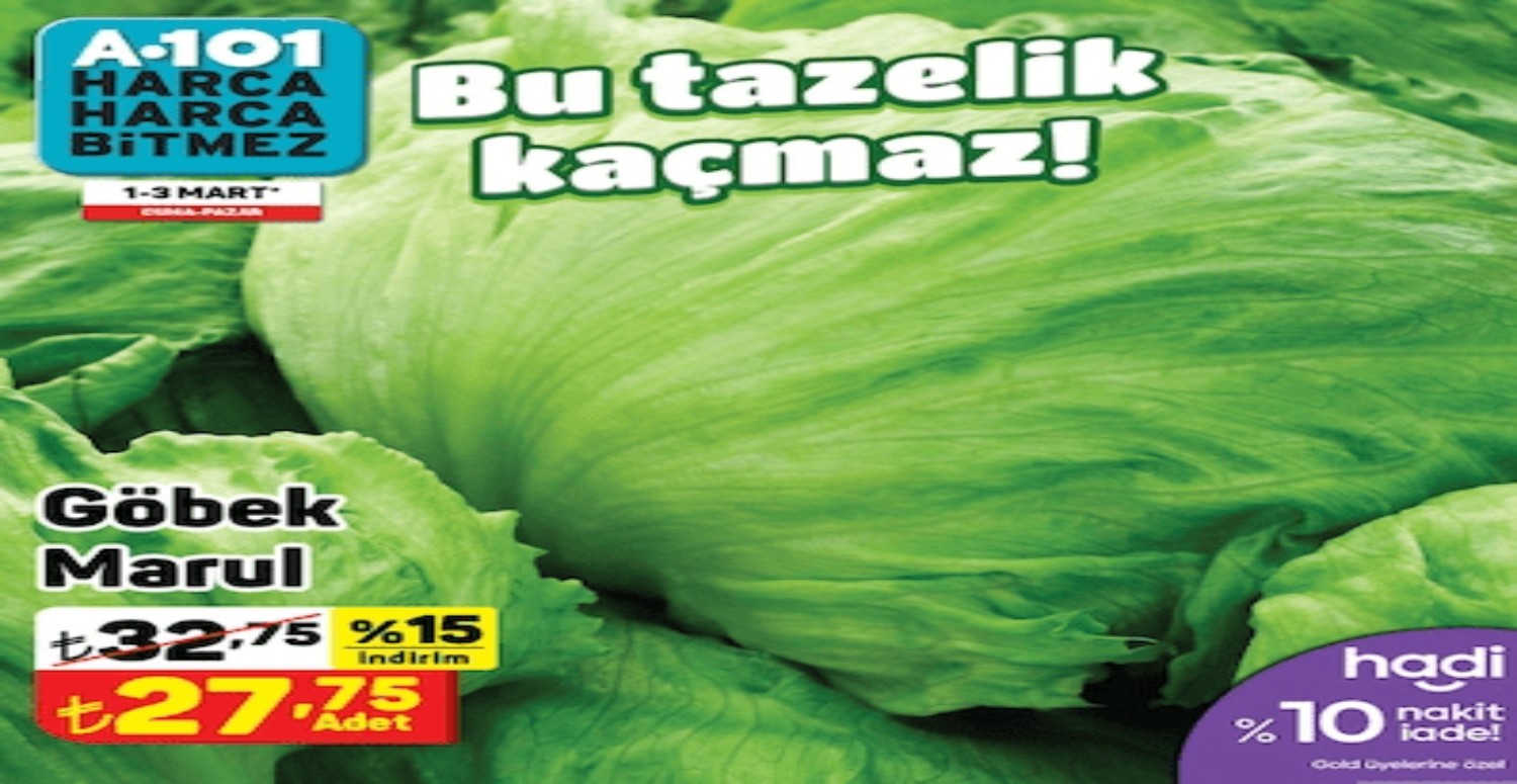 a101 kataloğu