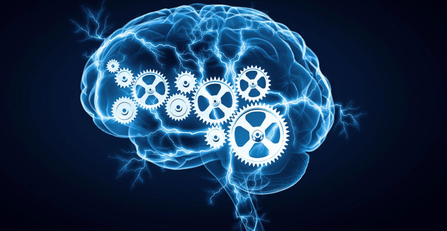 beyni çalıştıran besinler