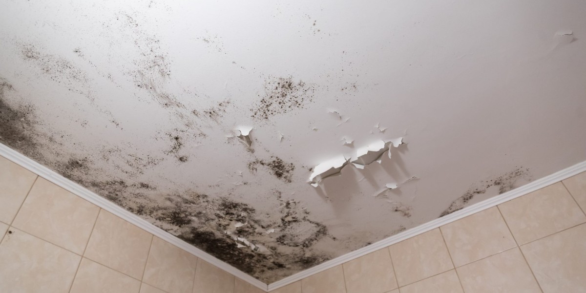 duvar küflerinden kurtulma yöntemleri