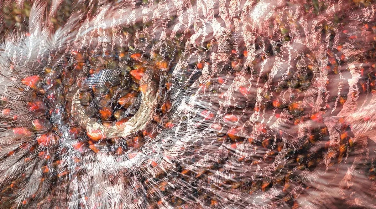 Görsele bakınca ilk gördüğünüz şey karakterinizi ele veriyor