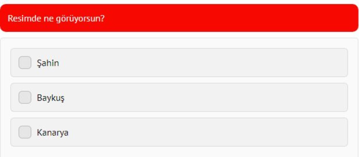 Görsele bakınca ilk gördüğünüz şey karakterinizi ele veriyor