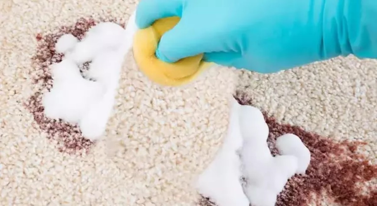 Halıları yıkatmaya son! Bu karışım ile en inatçı lekeler 5 dakikada çıkacak