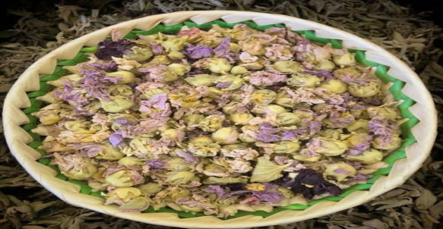 hatmi bitkisi hakkında