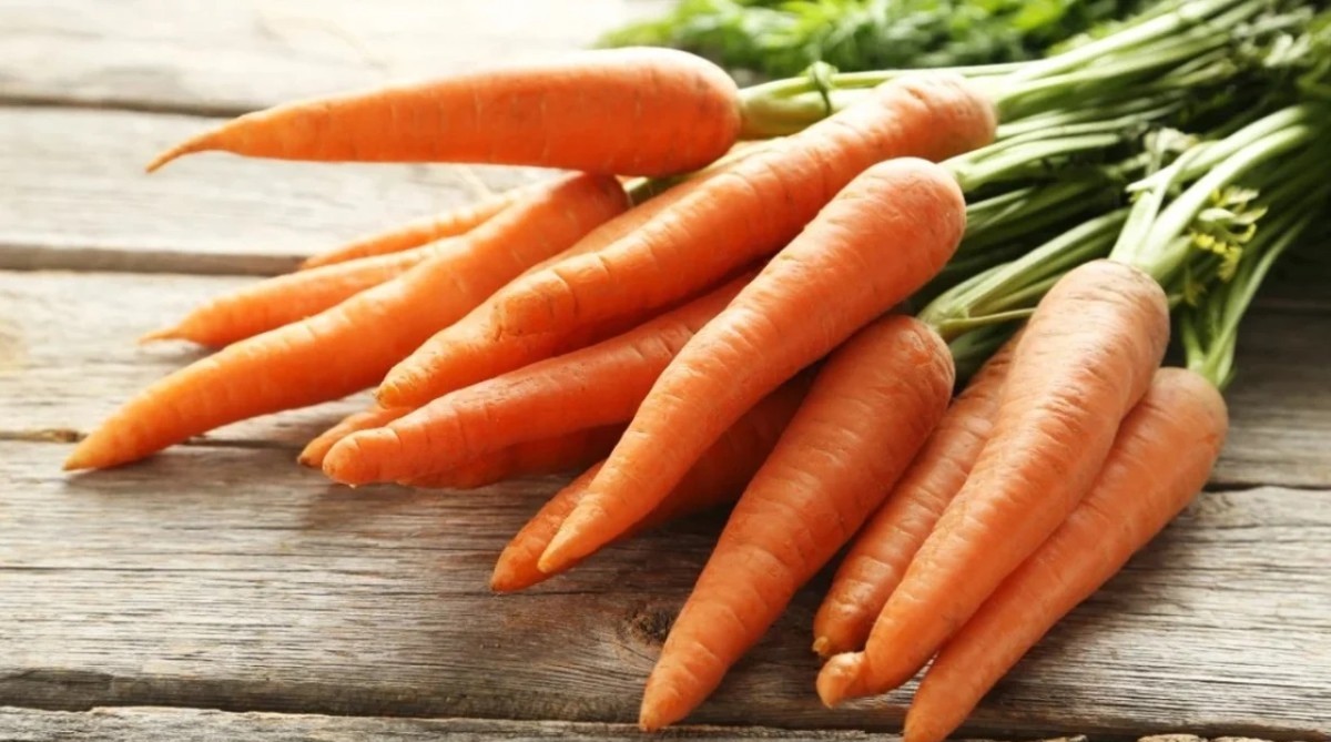 Her sabah 1 havuç yemenin inanılmaz faydası