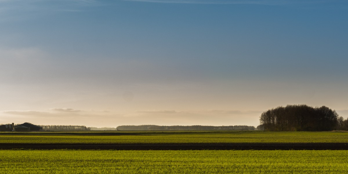 ihale ile arsa satışı