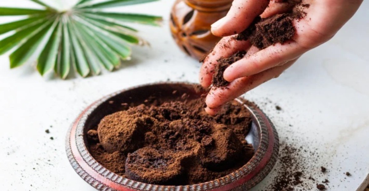 Kahve telvesini sakın atmayın! O bölgedeki tüyleri pat diye döküyor