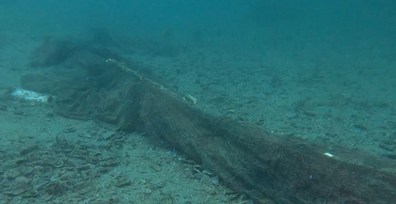 marmara denizi su sıcaklığı yükseliyor