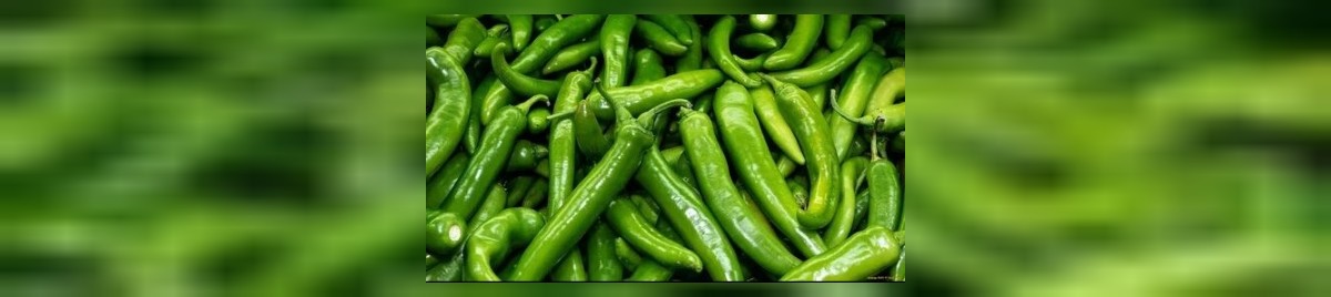 yeşil biberin faydaları