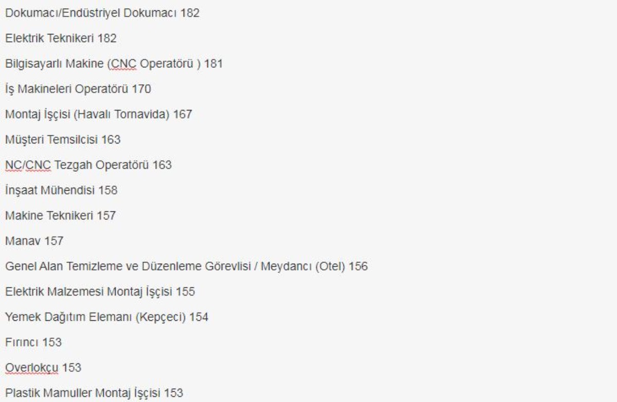 81 ilde dev personel alımı! On binlerce kişi bu kadrolara istihdam edilecek