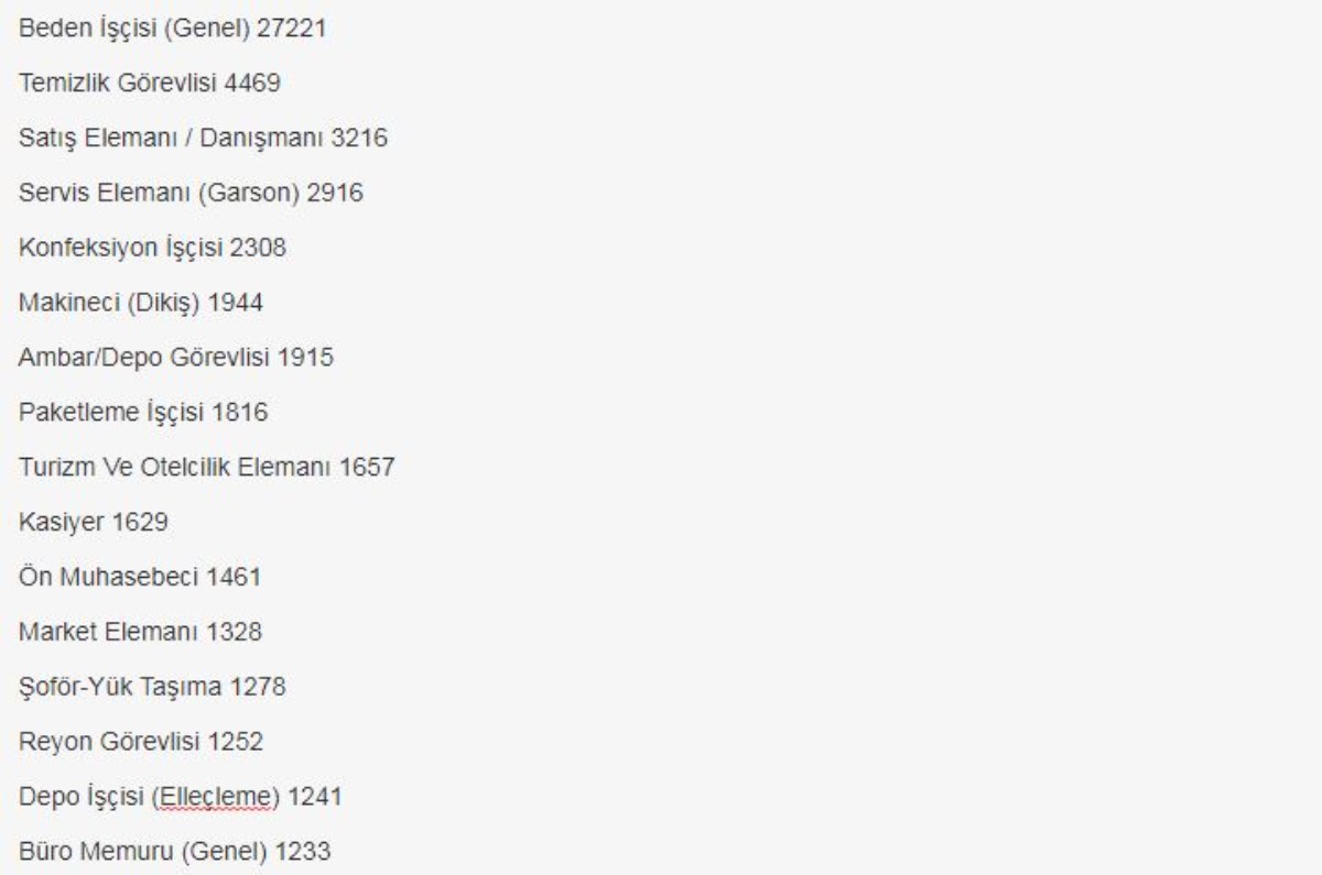 81 ilde dev personel alımı! On binlerce kişi bu kadrolara istihdam edilecek