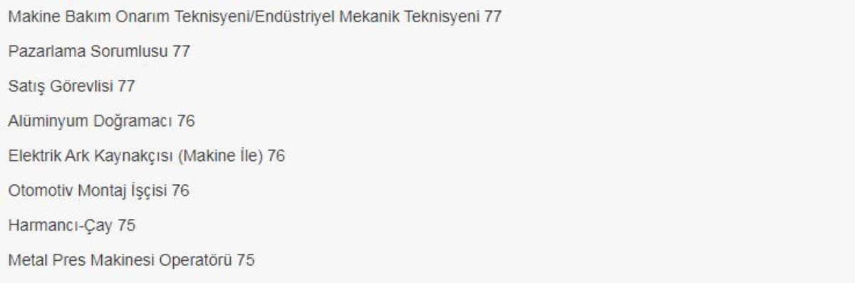 81 ilde dev personel alımı! On binlerce kişi bu kadrolara istihdam edilecek