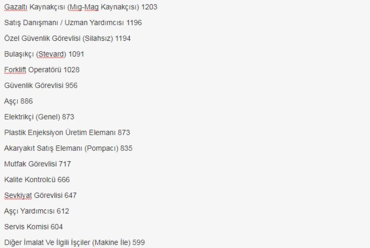 81 ilde dev personel alımı! On binlerce kişi bu kadrolara istihdam edilecek