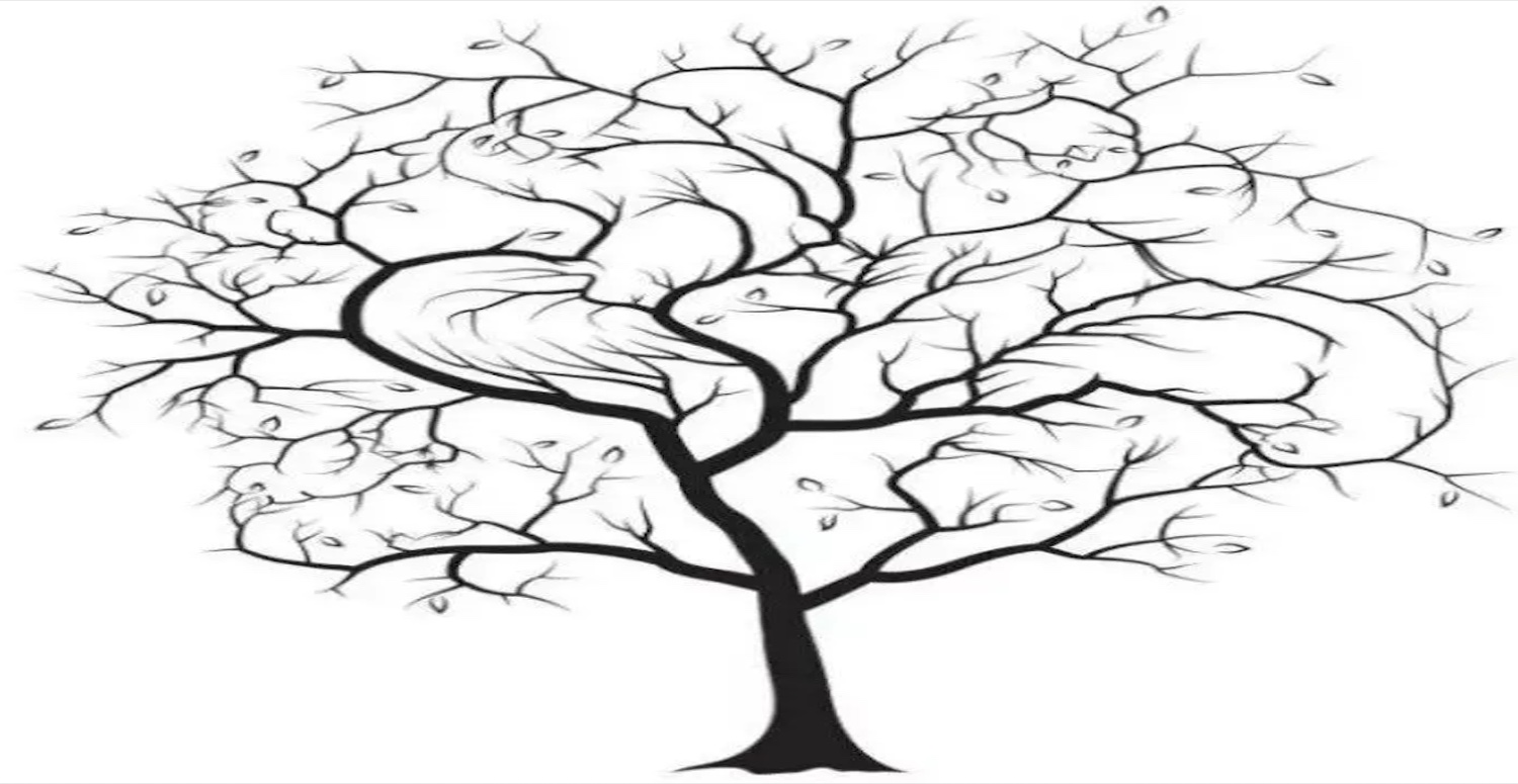 Ağaçtaki 5 hayvanı bulan üstün zekalı kabul ediliyor! 10 saniye süre verildi