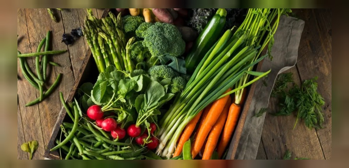 Antioksidan bakımından zengin yeşil yapraklı sebzeler