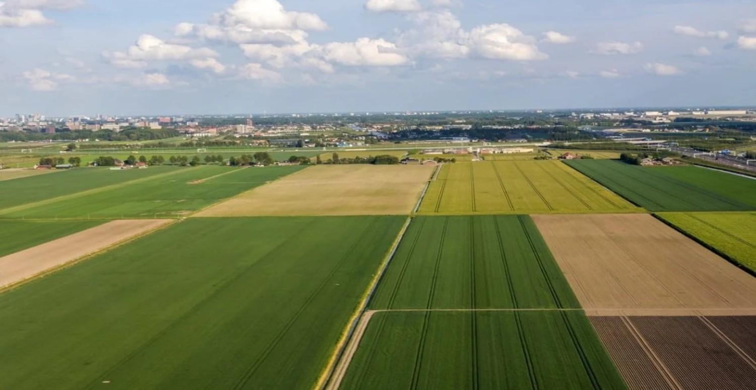 ARSA SATIŞLARI HAKKINDA