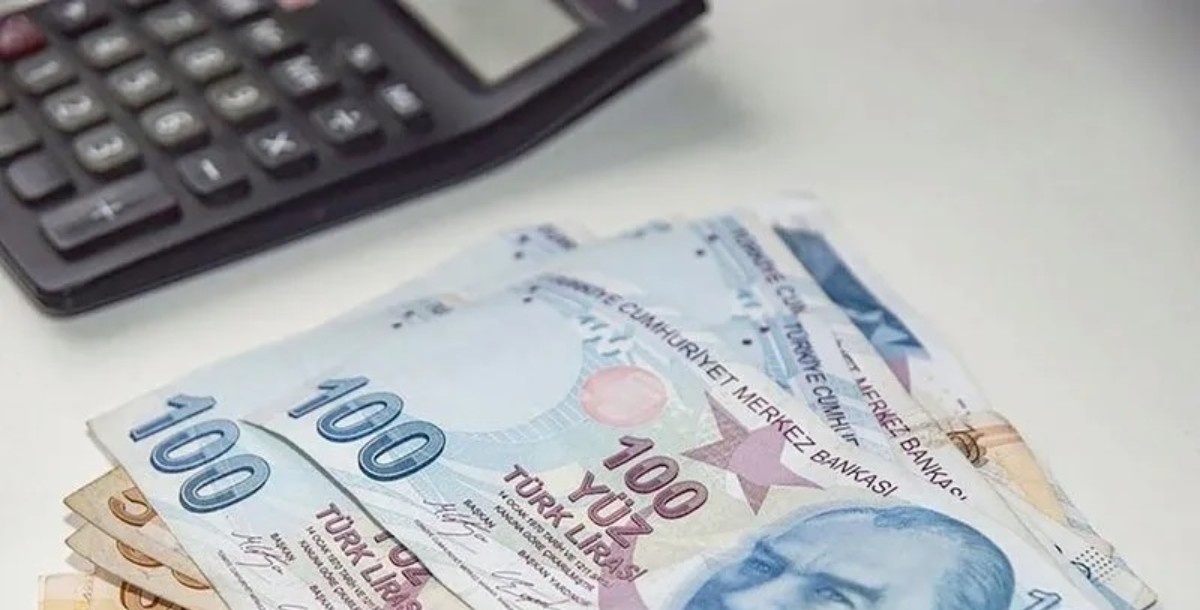 Bakanlık'tan emeklilere e-Devlet müjdesi geldi