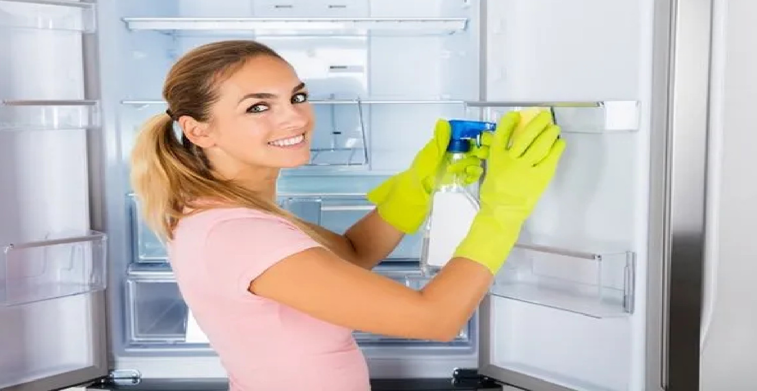 buzdolabı temizliği