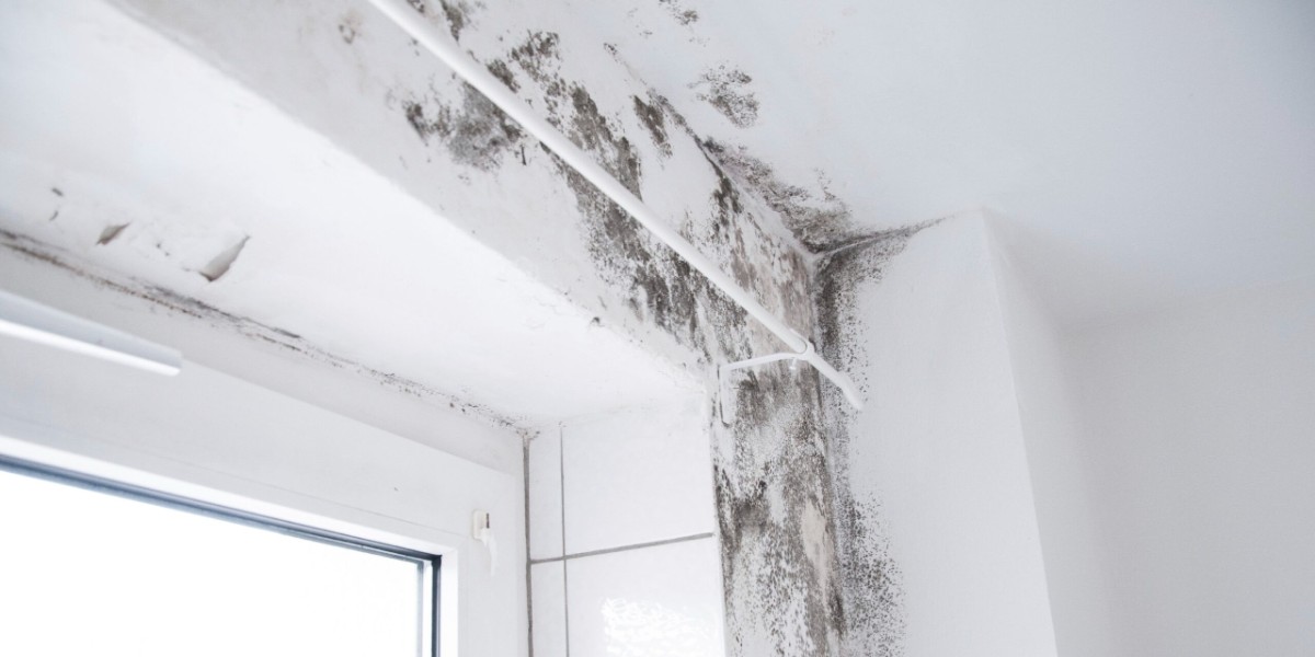 küf lekesine çözüm