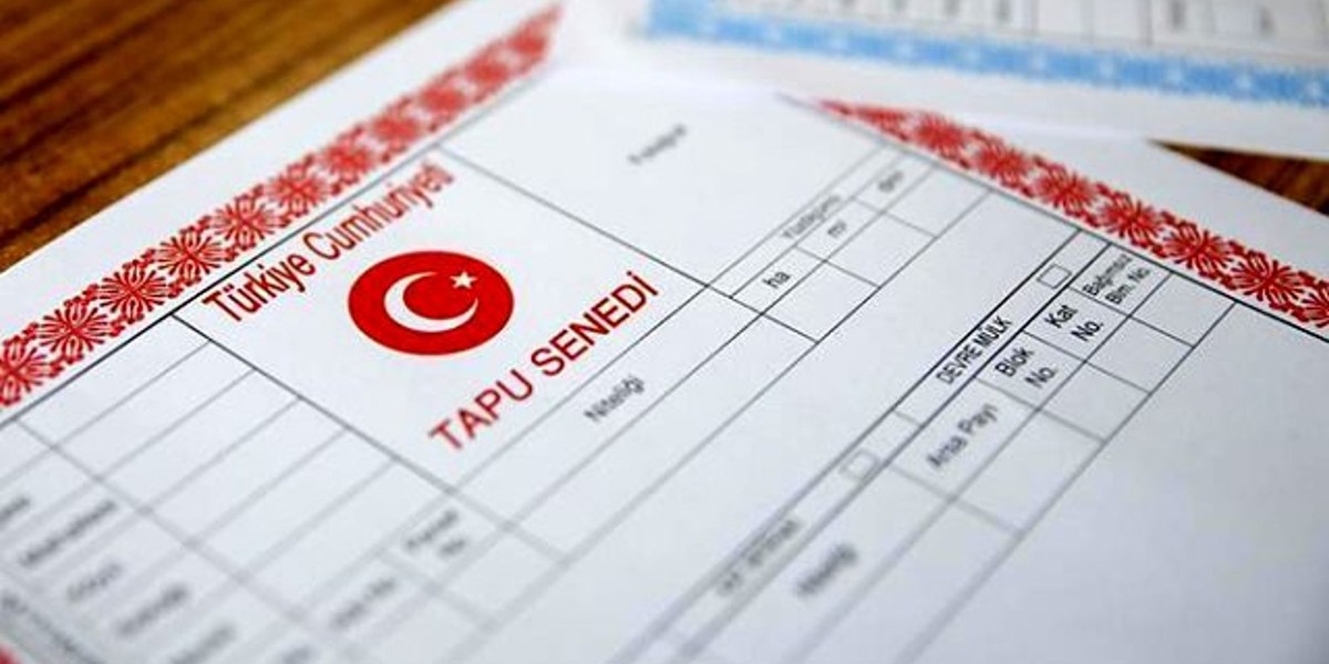 miras sorgulama işlemleri