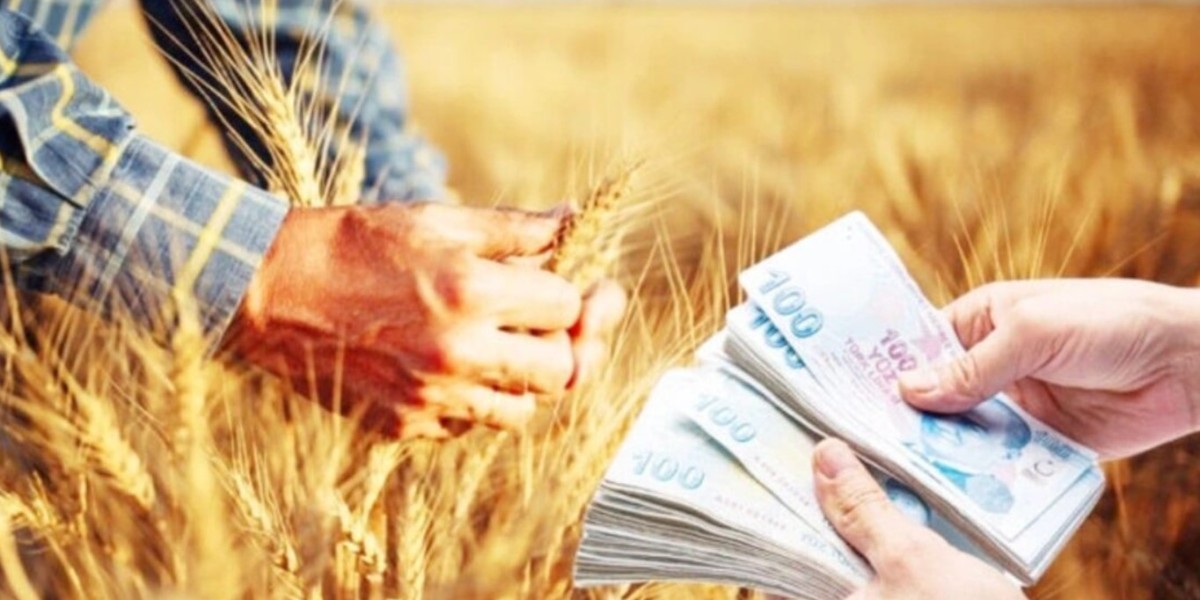 genç çiftçi projesi