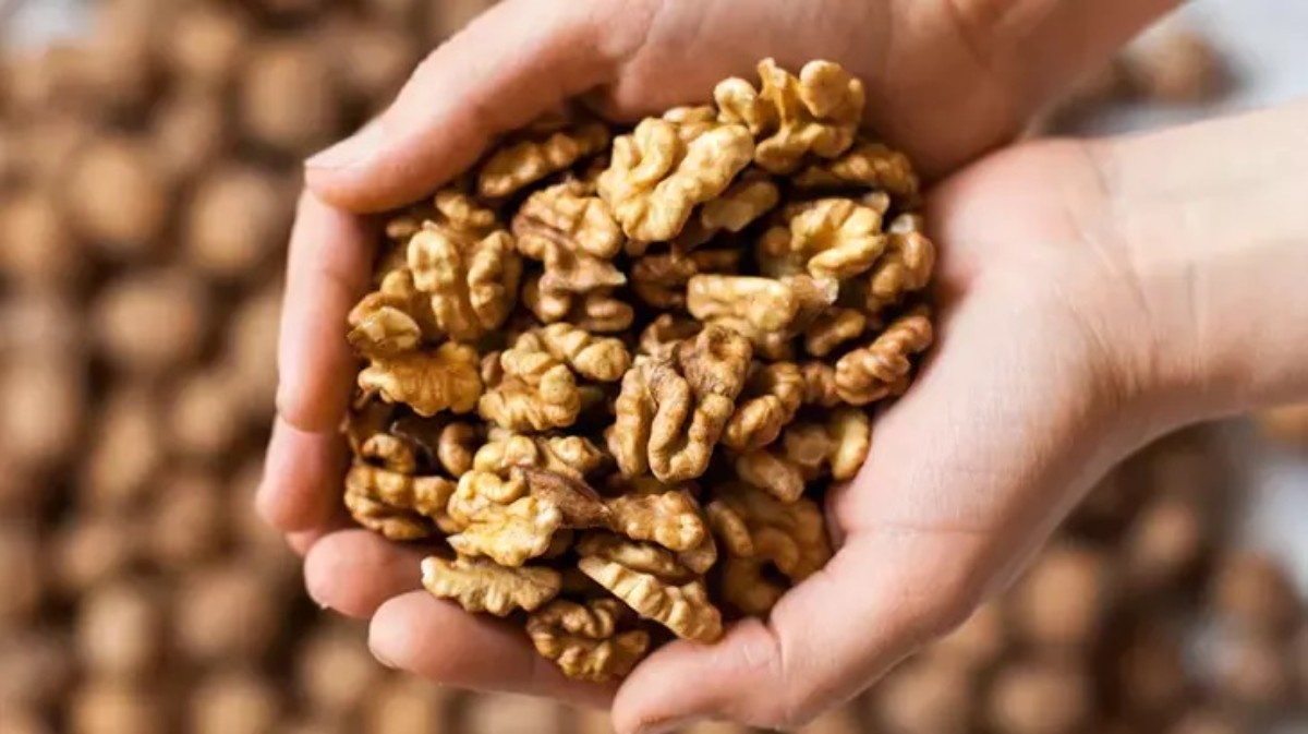 Her gün 3-4 ceviz yiyince bakın ne oluyor