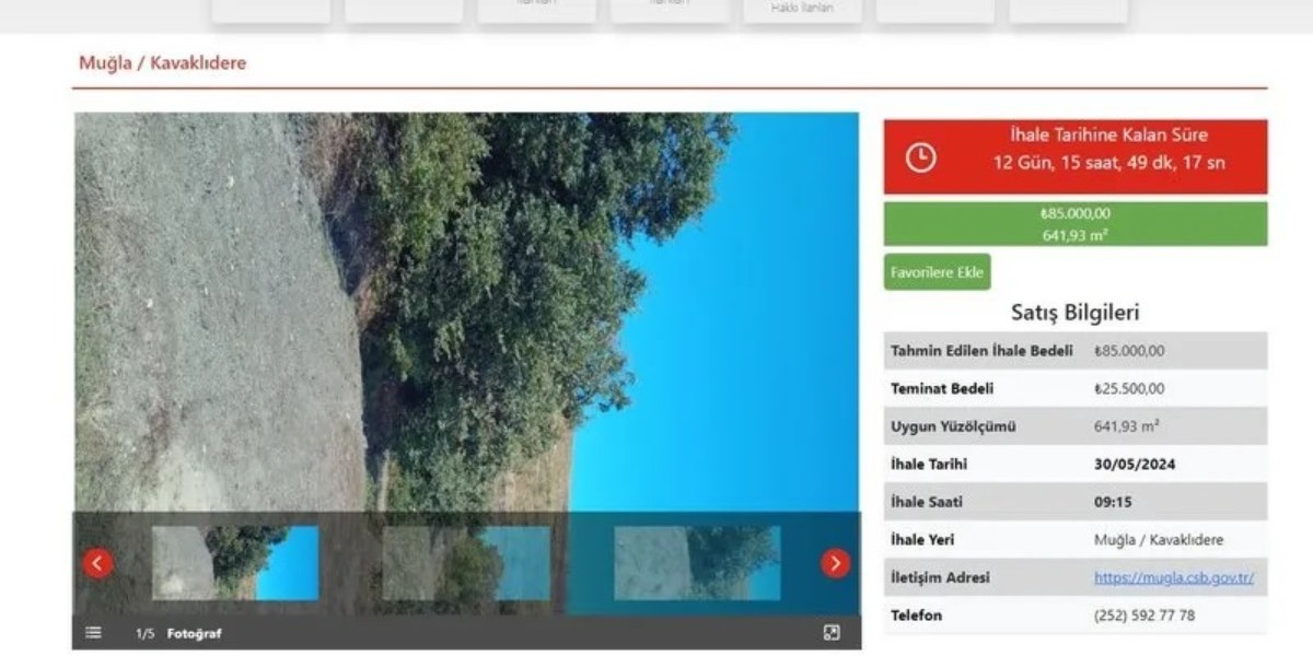 Milli emlak 641 m2 arsayı resmen bedavaya satıyor