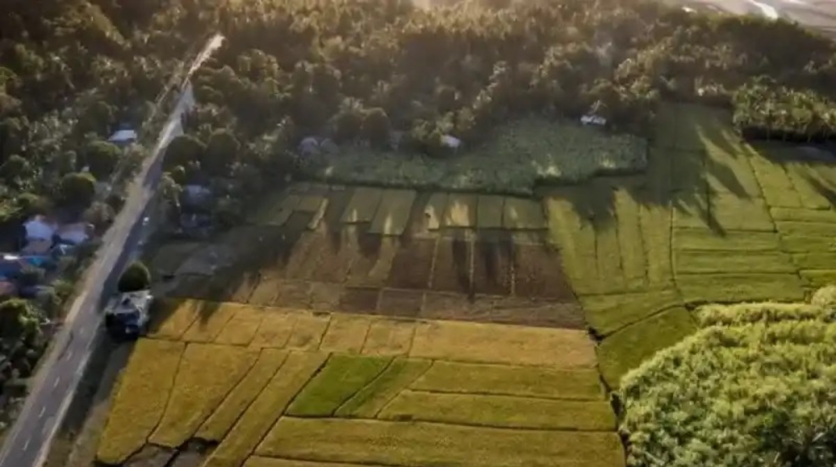 Milli Emlak’tan çerez fiyatına arsa müjdesi