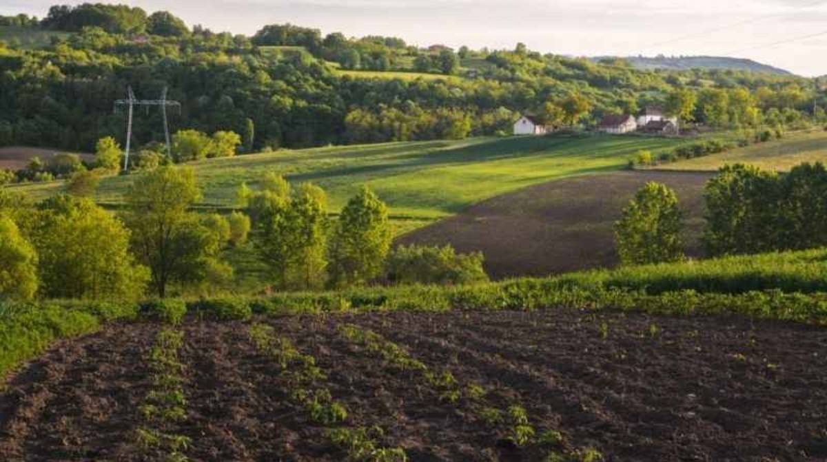 Milli Emlak yüzyılın bombasını patlattı! Sadece 85.000 TL yeterli