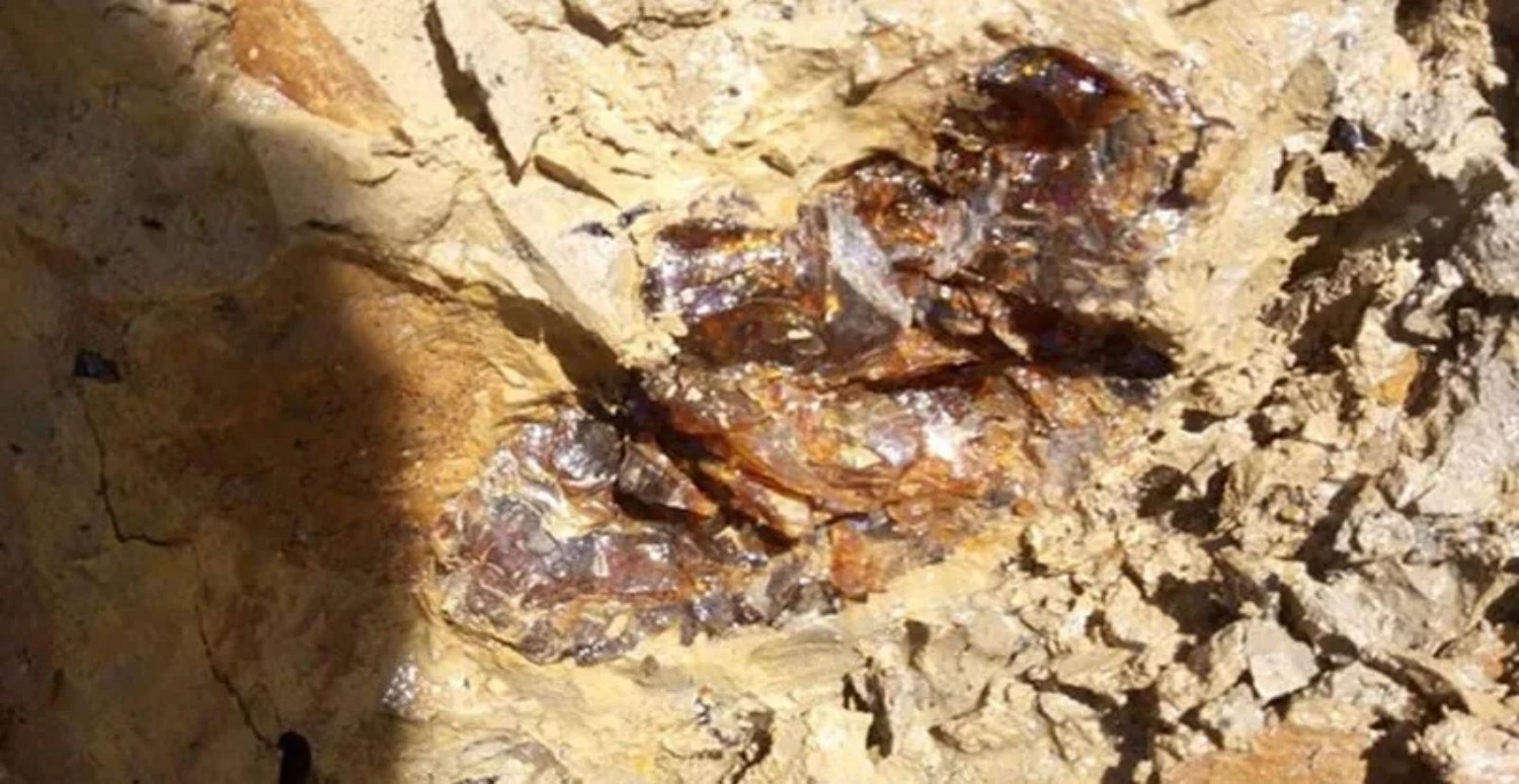 MUĞLADAKİ MADEN HAKKINDA