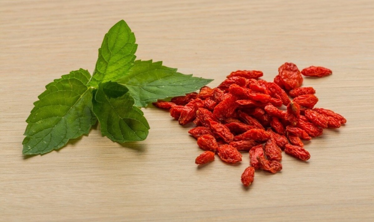 Berberin Bitkisinin Faydaları