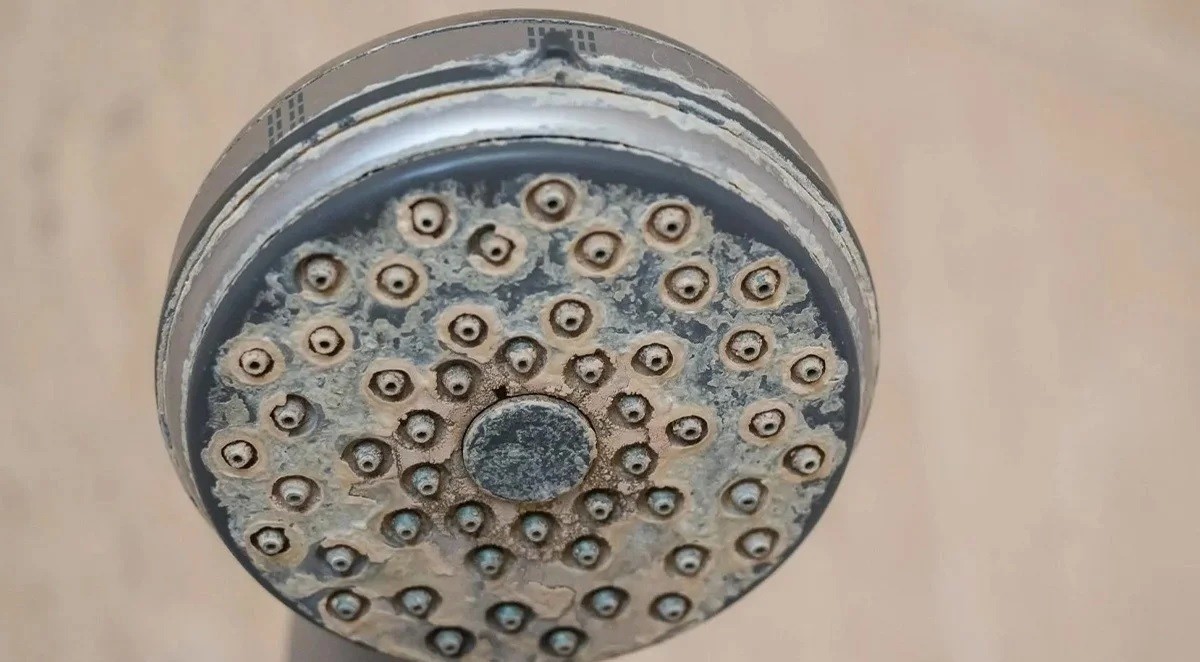 Duş başlıklarını pırıl pırıl yapan yöntem