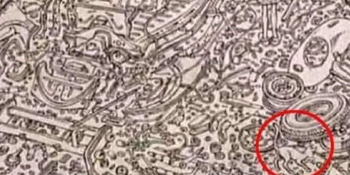 gizli kedi test sonucu