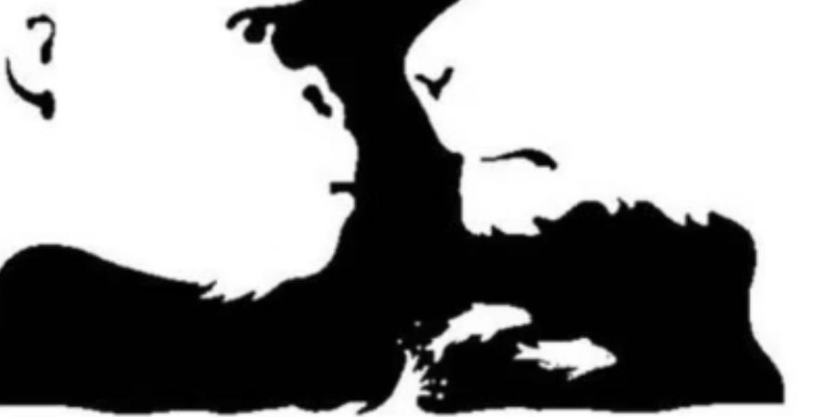 görsel zeka bulmaca