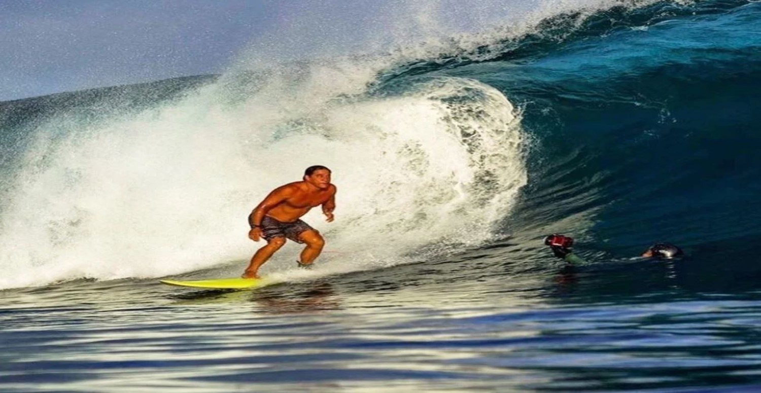 karayip korsanları oyuncusu köpekbalığı