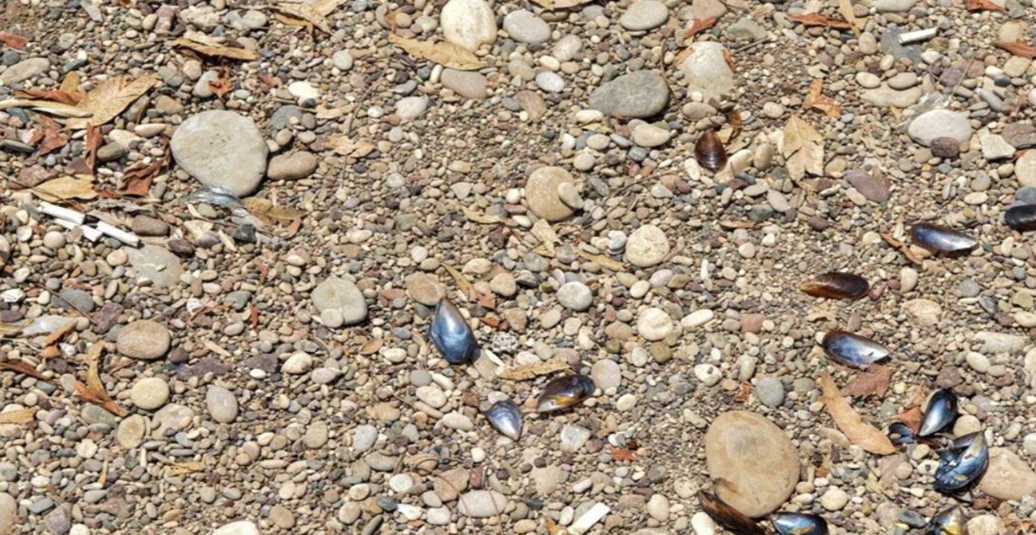 konyaaltı çöplük