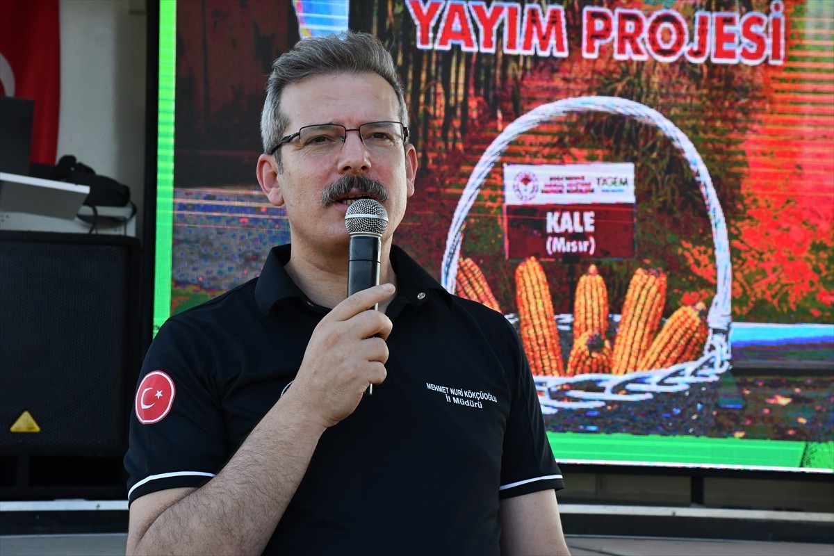 Adana'da kale cinsi mısırın tanıtılması ve ekiminin yaygınlaştırması amacıyla hayata geçirilen...