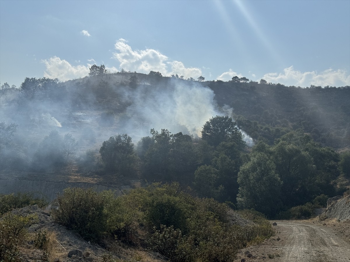 Afyonkarahisar'ın Şuhut ilçesinde Koçyatağı köyü Başarap mevkisindeki dağlık bölgede yer alan...