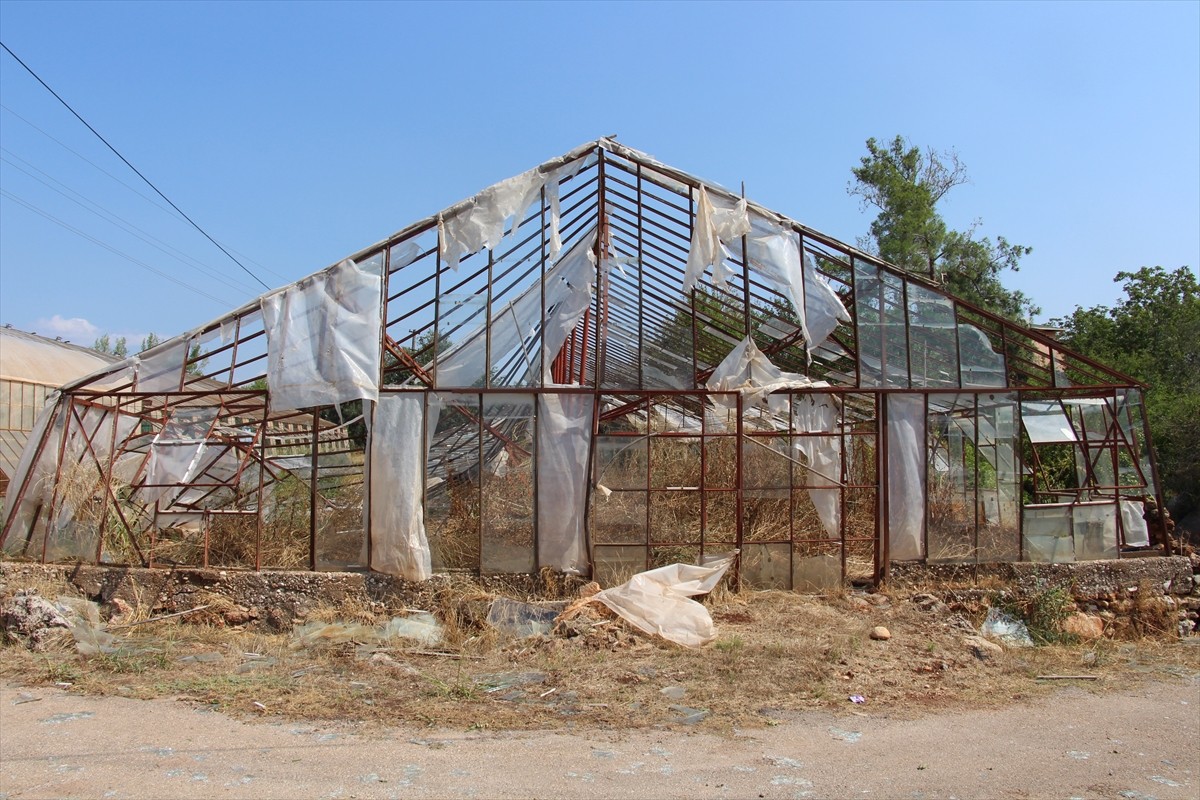 Antalya'da etkili olan sağanak ve fırtına nedeniyle ağaçlar devrildi.
