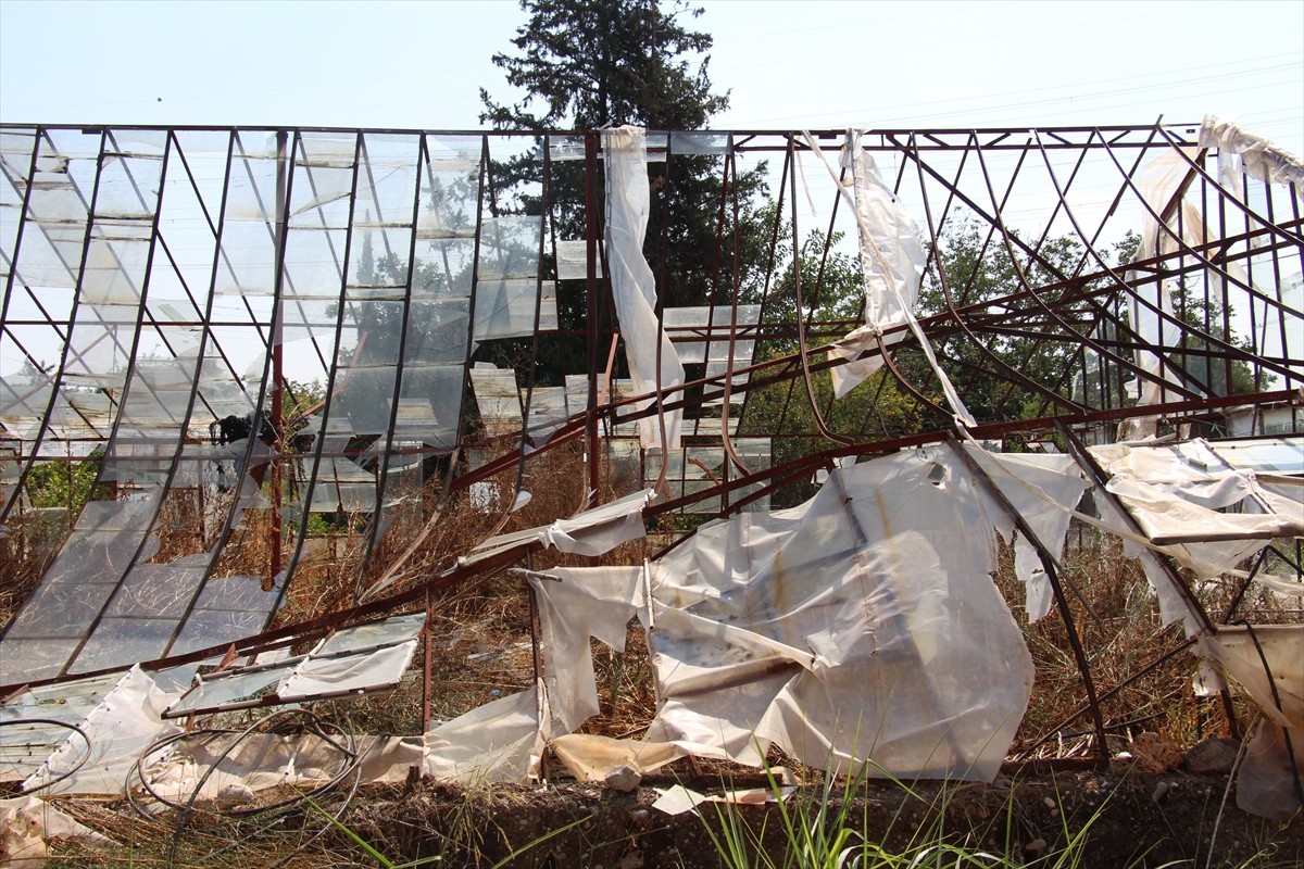 Antalya'da etkili olan sağanak ve fırtına nedeniyle ağaçlar devrildi.