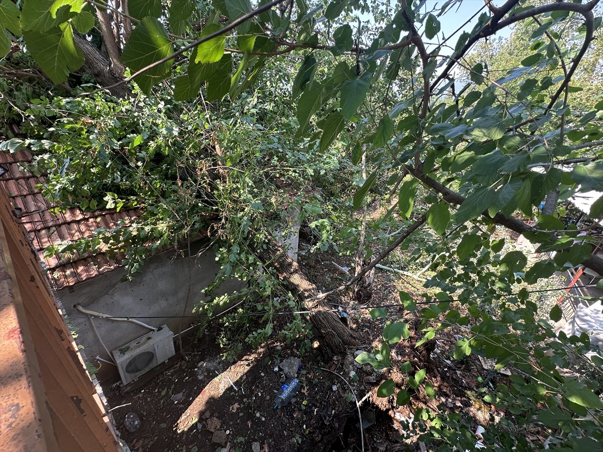 Antalya'da etkili olan sağanak ve fırtına nedeniyle bir caminin minaresi ile ağaçlar devrildi.