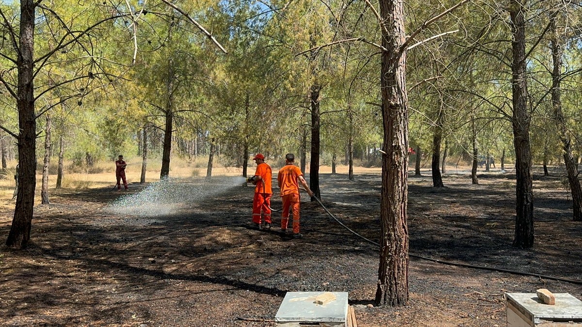 Antalya'nın Konyaaltı ilçesinde ormanlık alanda çıkan yangın, ekiplerin havadan ve karadan...