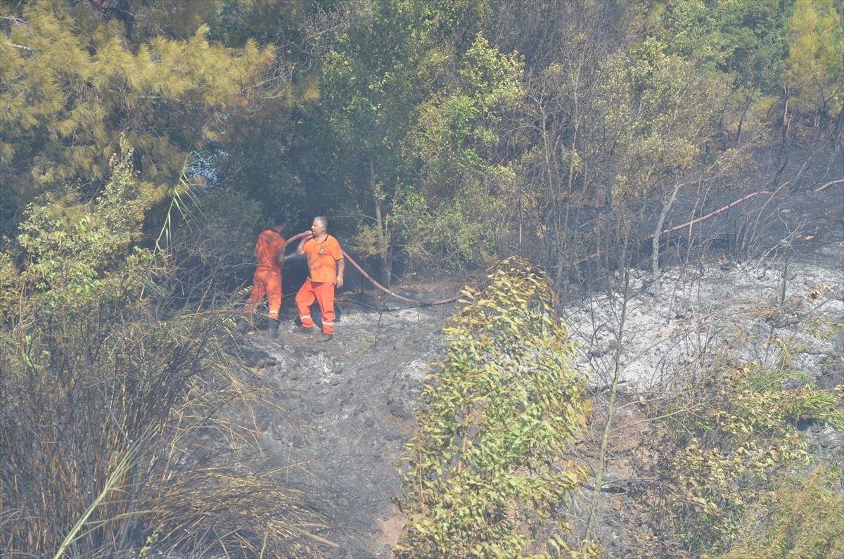 Antalya'nın Serik ilçesinde otluk alanda çıkan ve daha sonra seralar ile ormana sıçrayan yangın...
