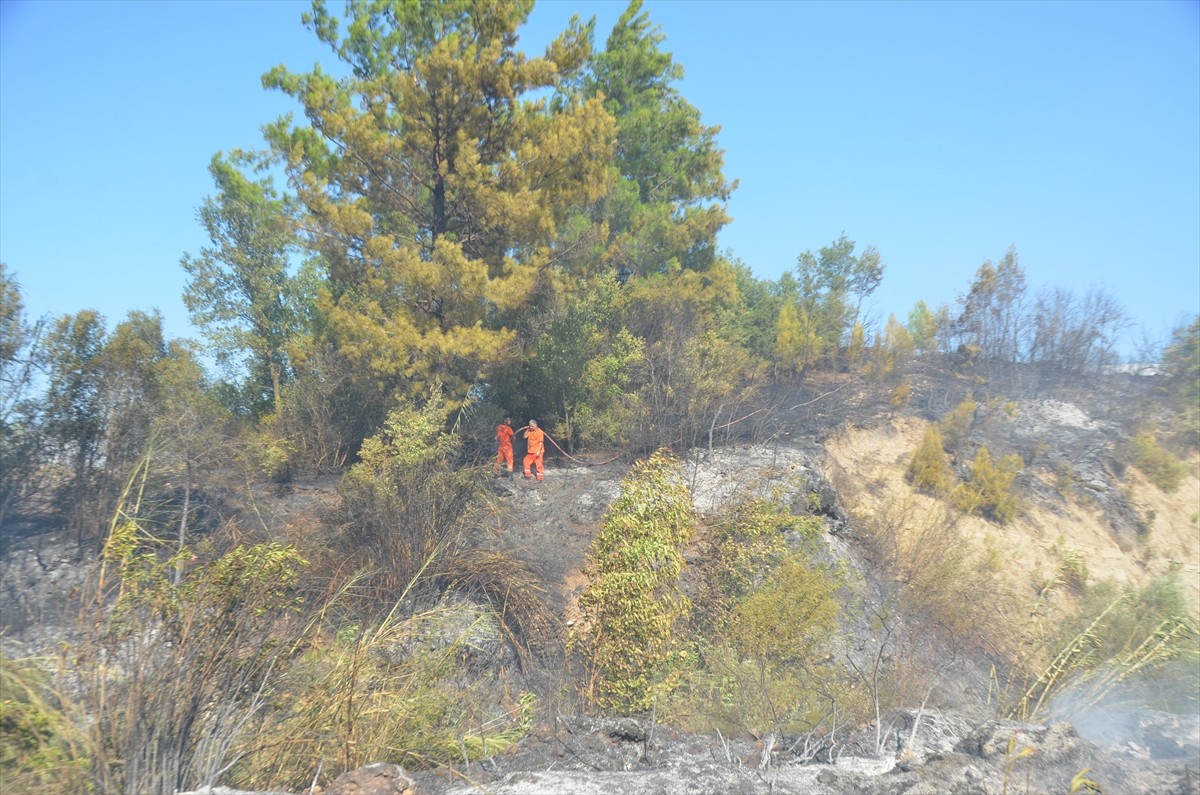 Antalya'nın Serik ilçesinde otluk alanda çıkan ve daha sonra seralar ile ormana sıçrayan yangın...