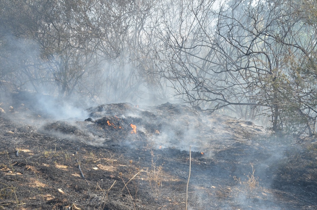 Antalya'nın Serik ilçesinde otluk alanda çıkan ve daha sonra seralar ile ormana sıçrayan yangın...