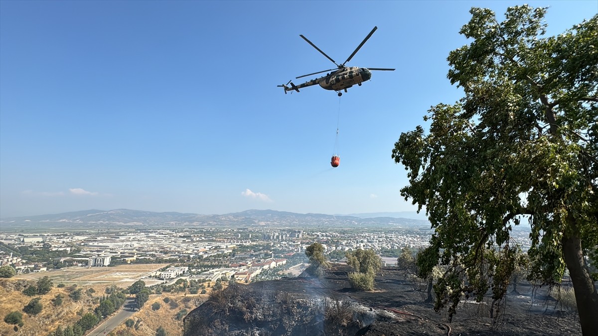 Aydın'da zeytinlik ve otluk alanda çıkan yangın, havadan ve karadan müdahaleyle kontrol altına...