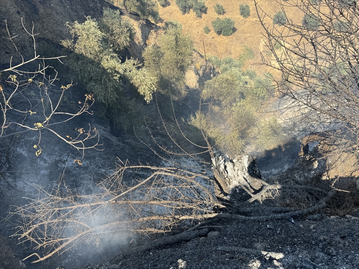 Aydın'da zeytinlik ve otluk alanda çıkan yangın, havadan ve karadan müdahaleyle kontrol altına...
