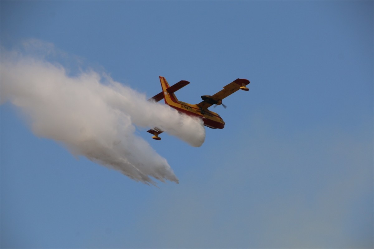 Aydın'ın Nazilli ilçesinde zeytinlik ve ormanlık alanda çıkan yangın kontrol altına...