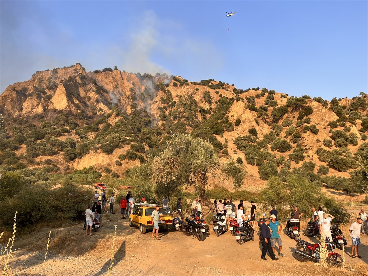 Aydın'ın Nazilli ilçesinde zeytinlik ve ormanlık alanda çıkan yangın kontrol altına...