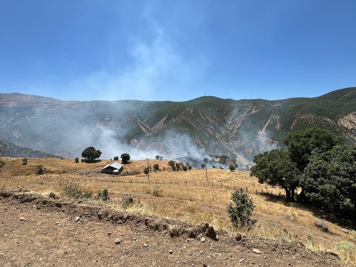 Bingöl'ün Genç ile Kiğı ilçelerinde çıkan orman yangınları söndürüldü.